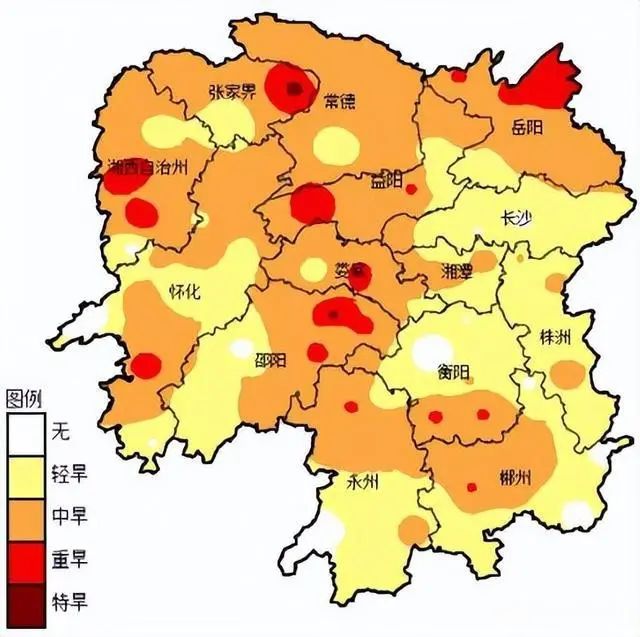 抗旱一線踐初心 無懼“烤”驗顯擔當